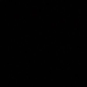 Meet your Posher, Julissa